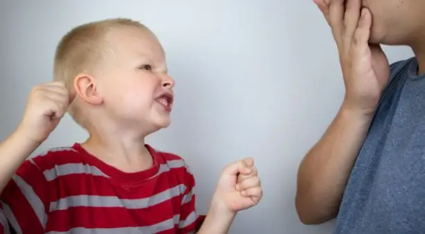 What's Really Behind Aggressive Behaviour in Young Children?